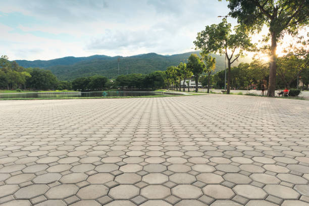 Trusted Oak Brook, IL Driveway Pavers Experts